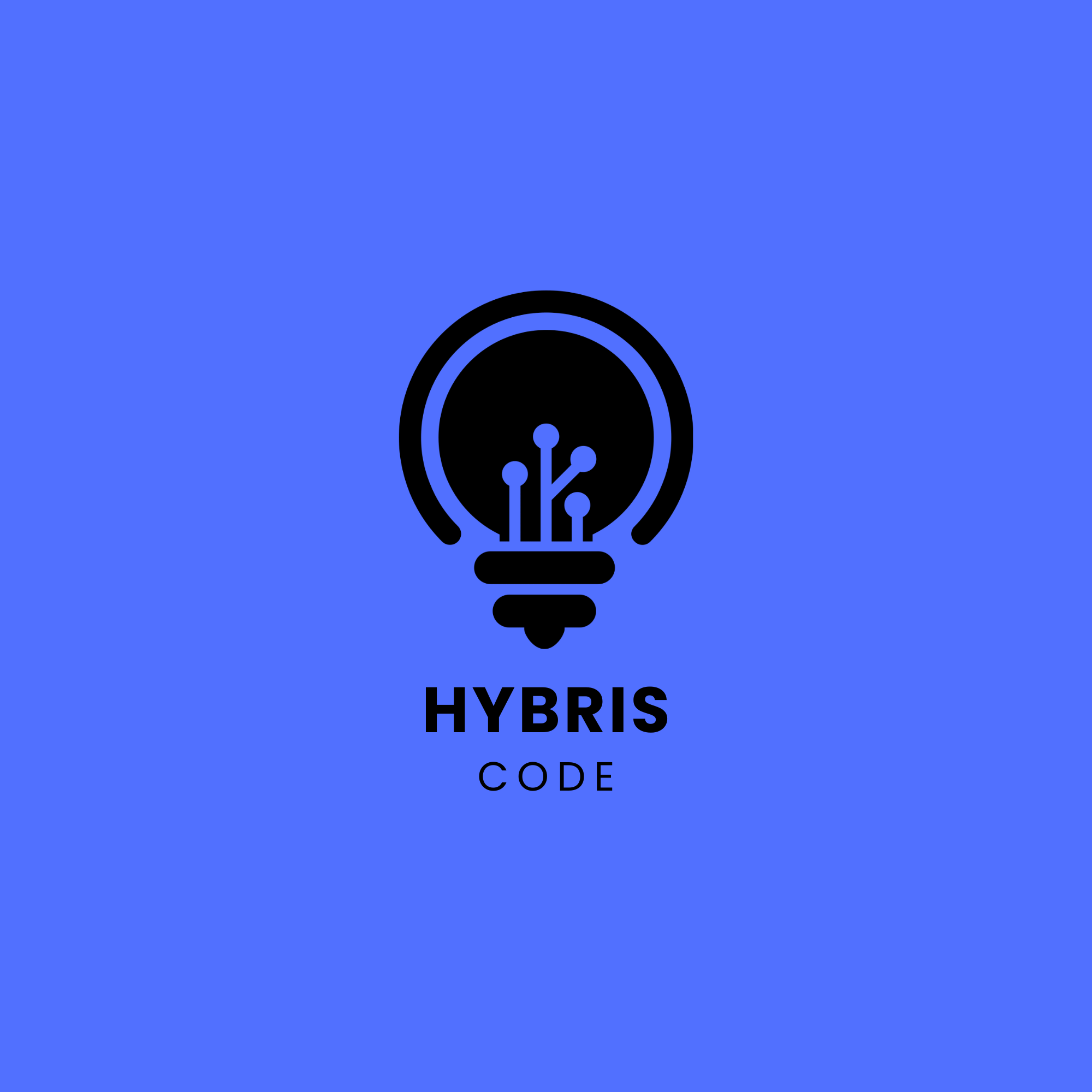 Hybris Code